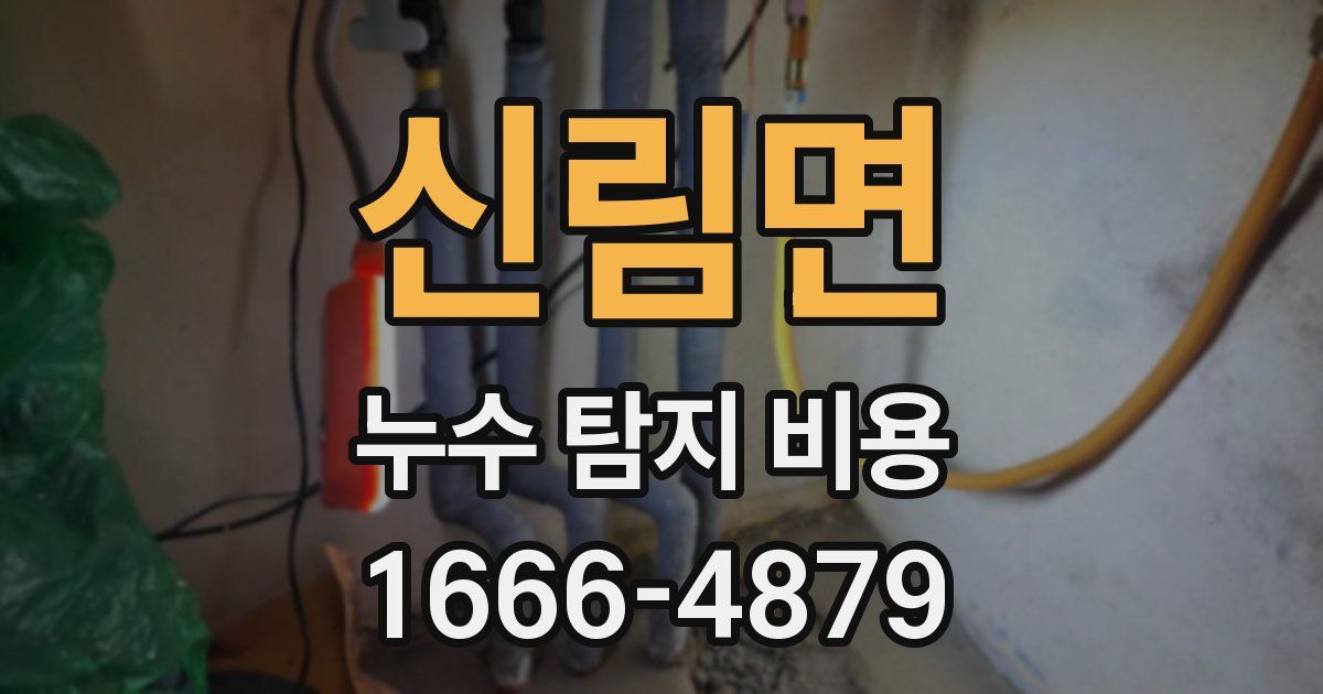 신림면 누수 탐지 비용