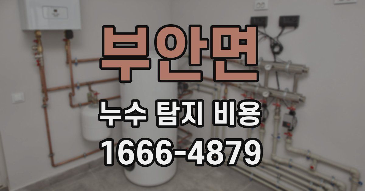 부안면 누수 탐지 비용