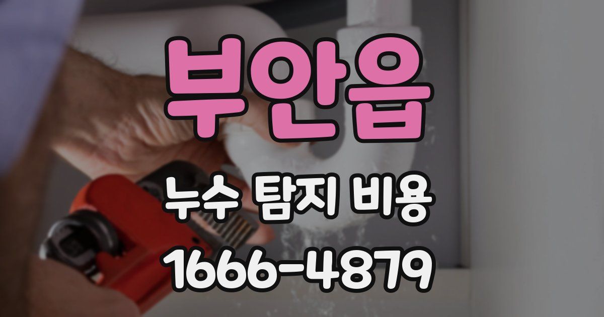 부안읍 누수 탐지 비용
