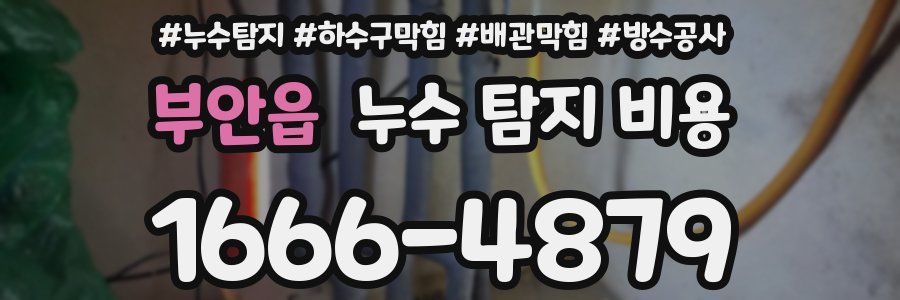부안읍 누수 탐지 비용
