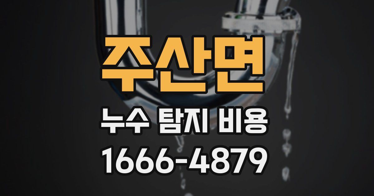 주산면 누수 탐지 비용
