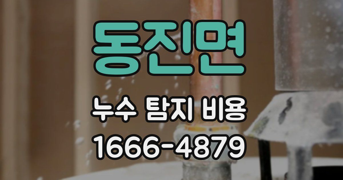 동진면 누수 탐지 비용