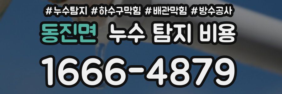 동진면 누수 탐지 비용