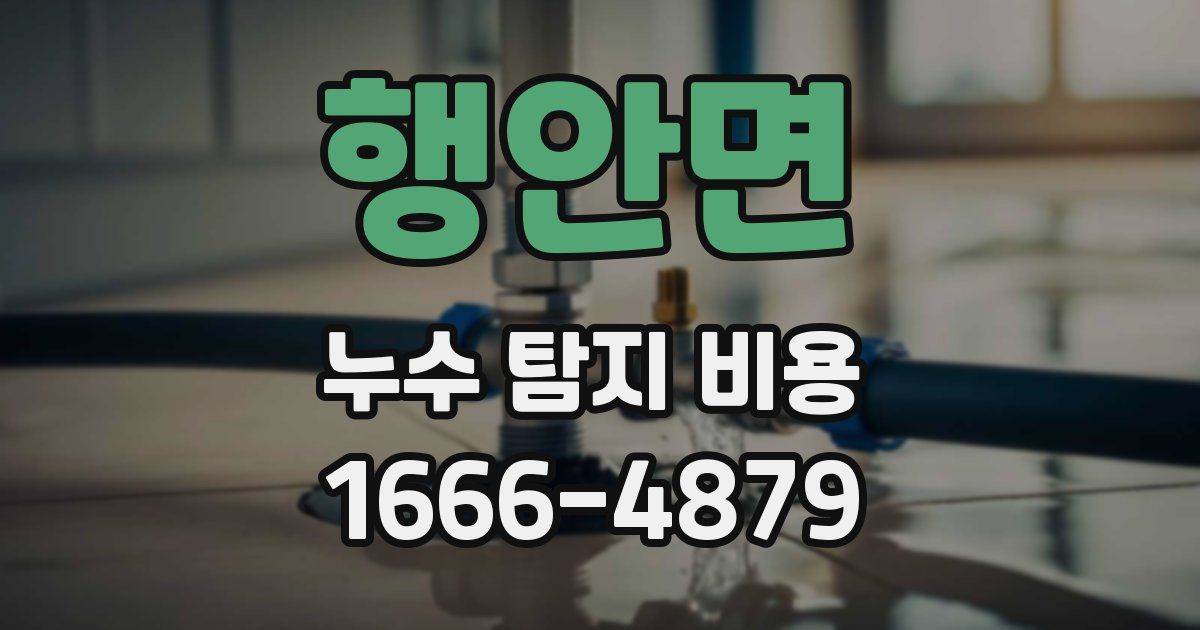 행안면 누수 탐지 비용
