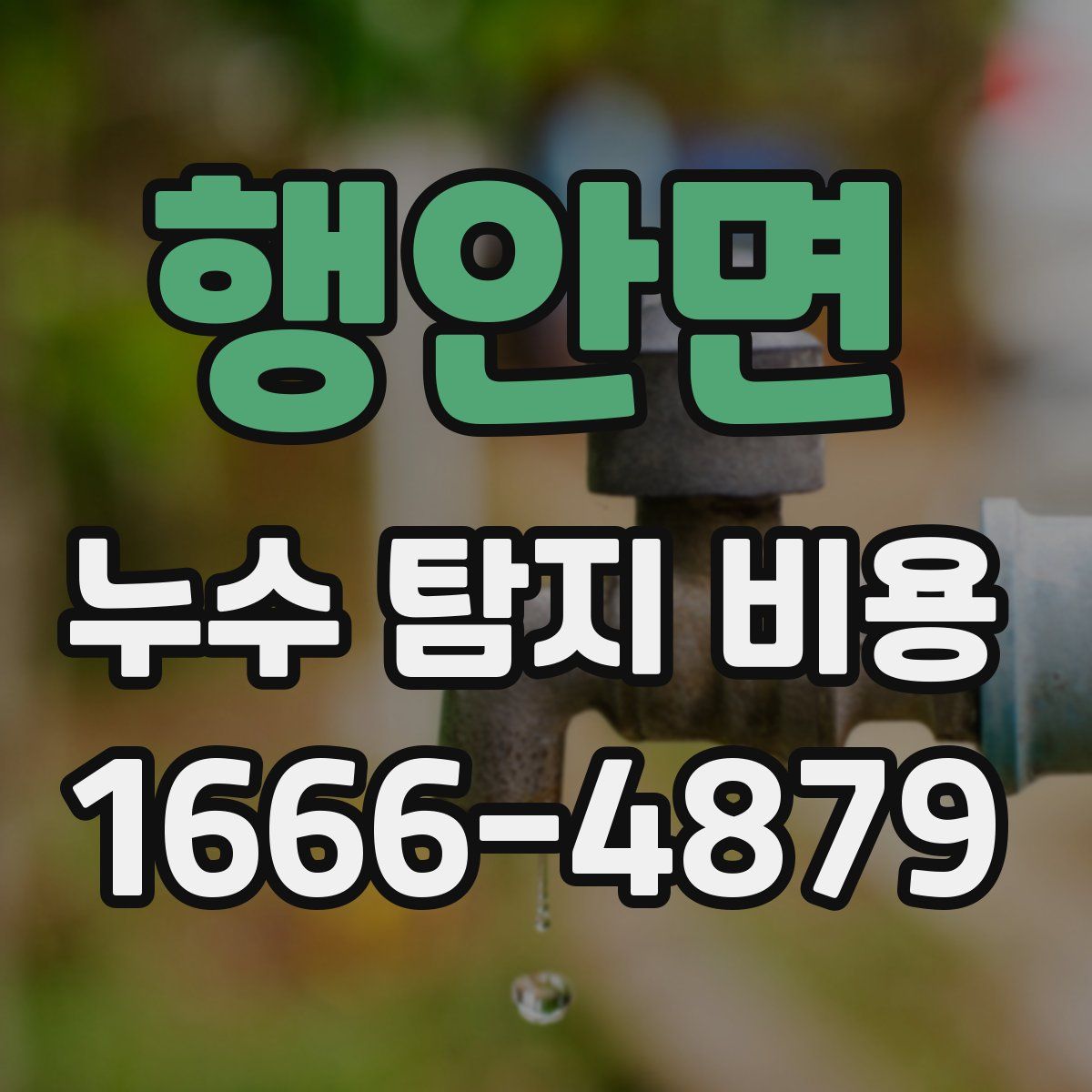 행안면 누수 탐지 비용