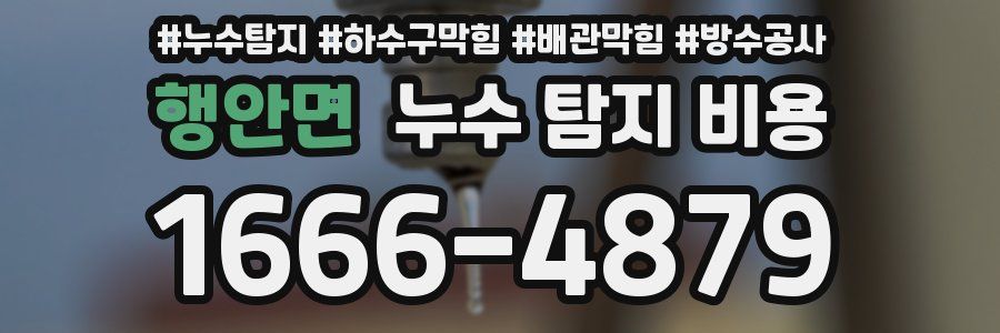 행안면 누수 탐지 비용