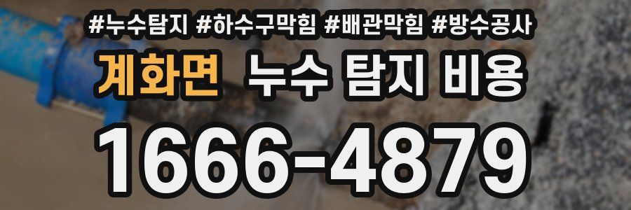 계화면 누수 탐지 비용