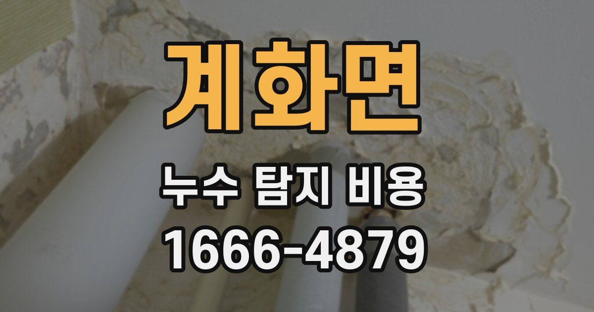 계화면 누수 탐지 비용
