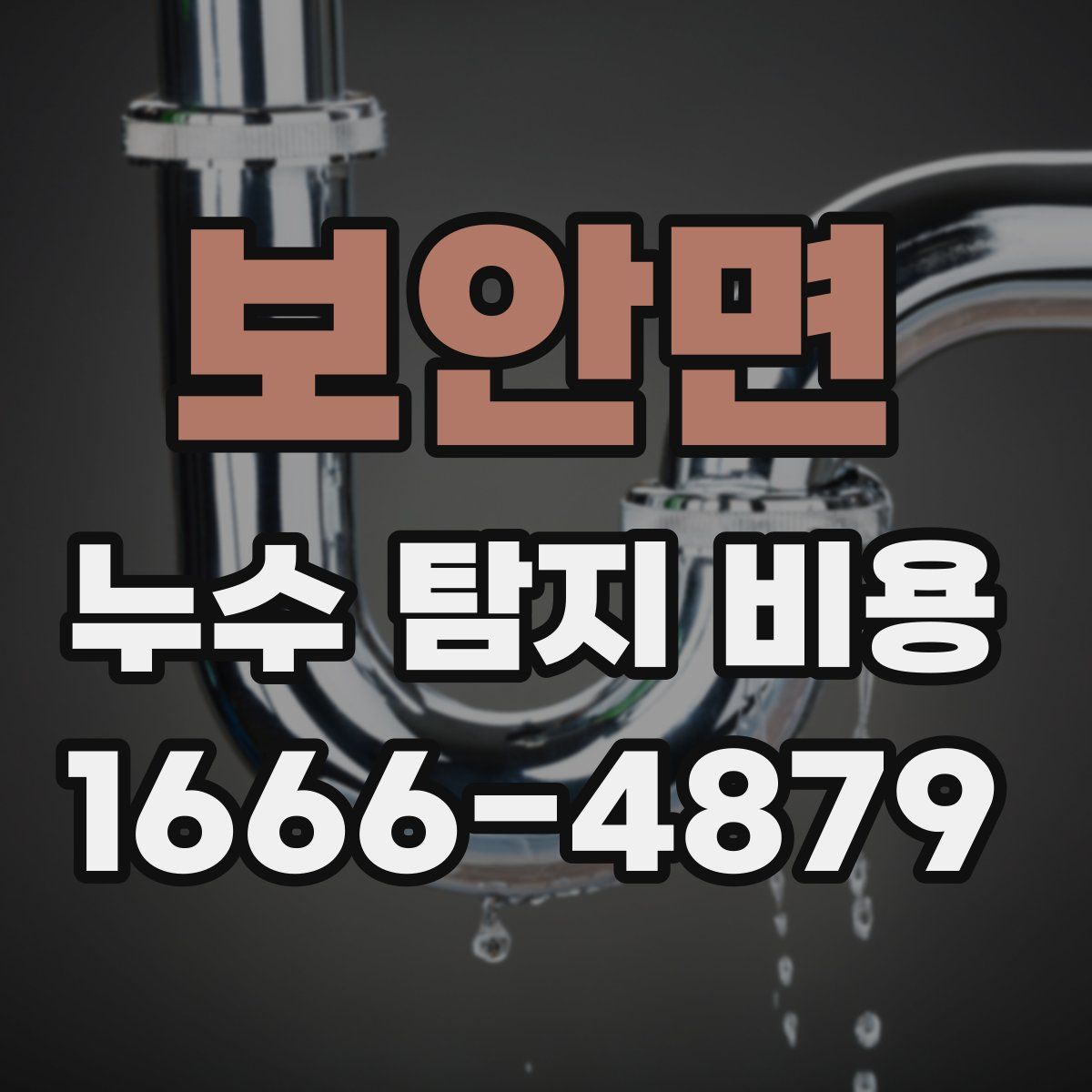 보안면 누수 탐지 비용