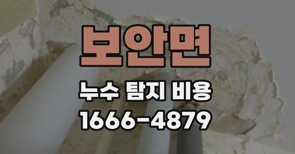보안면 누수 탐지 비용
