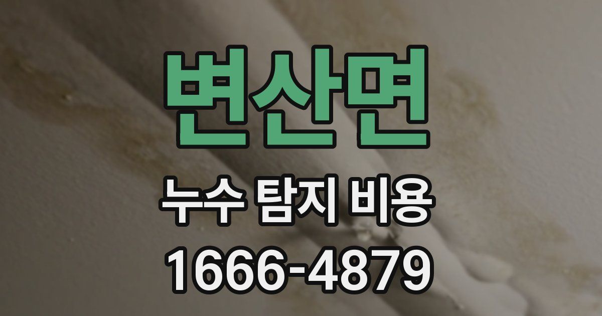 변산면 누수 탐지 비용