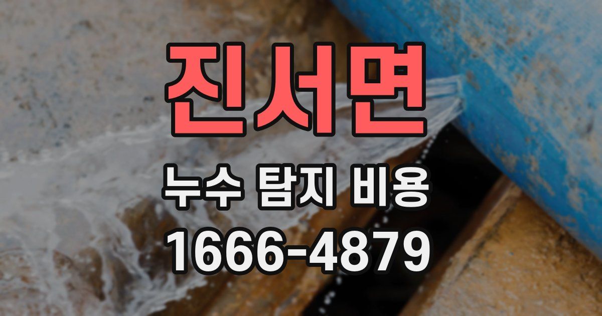 진서면 누수 탐지 비용