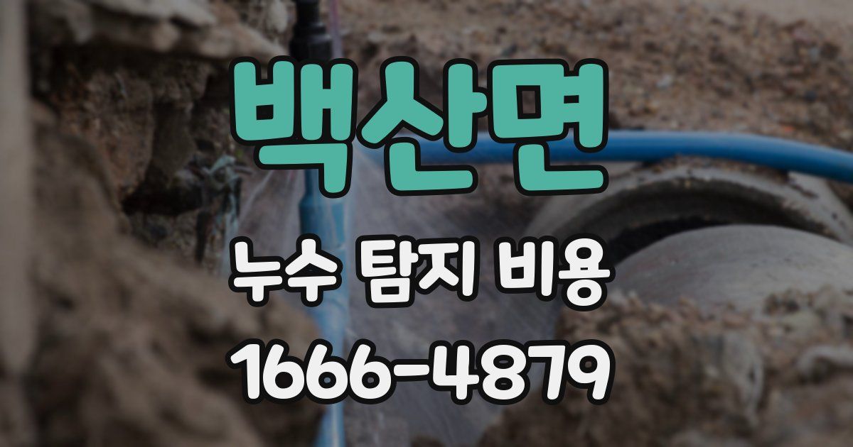 백산면 누수 탐지 비용
