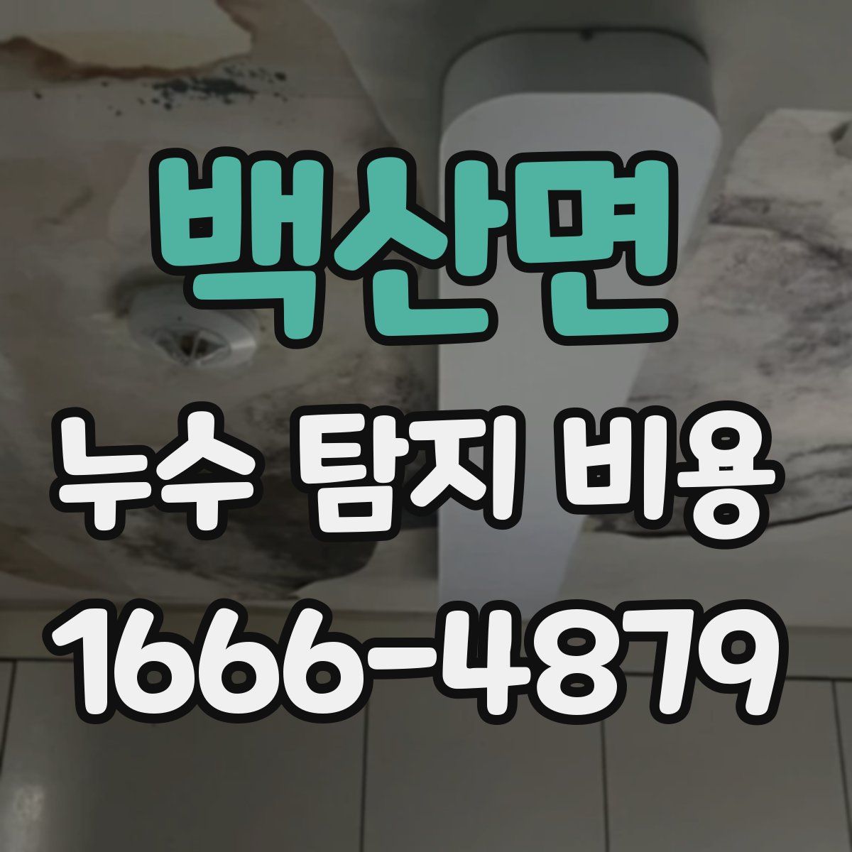 백산면 누수 탐지 비용