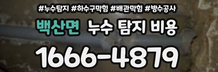 백산면 누수 탐지 비용