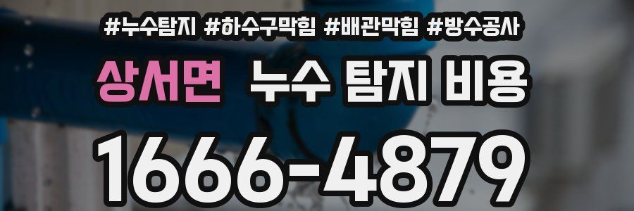 상서면 누수 탐지 비용