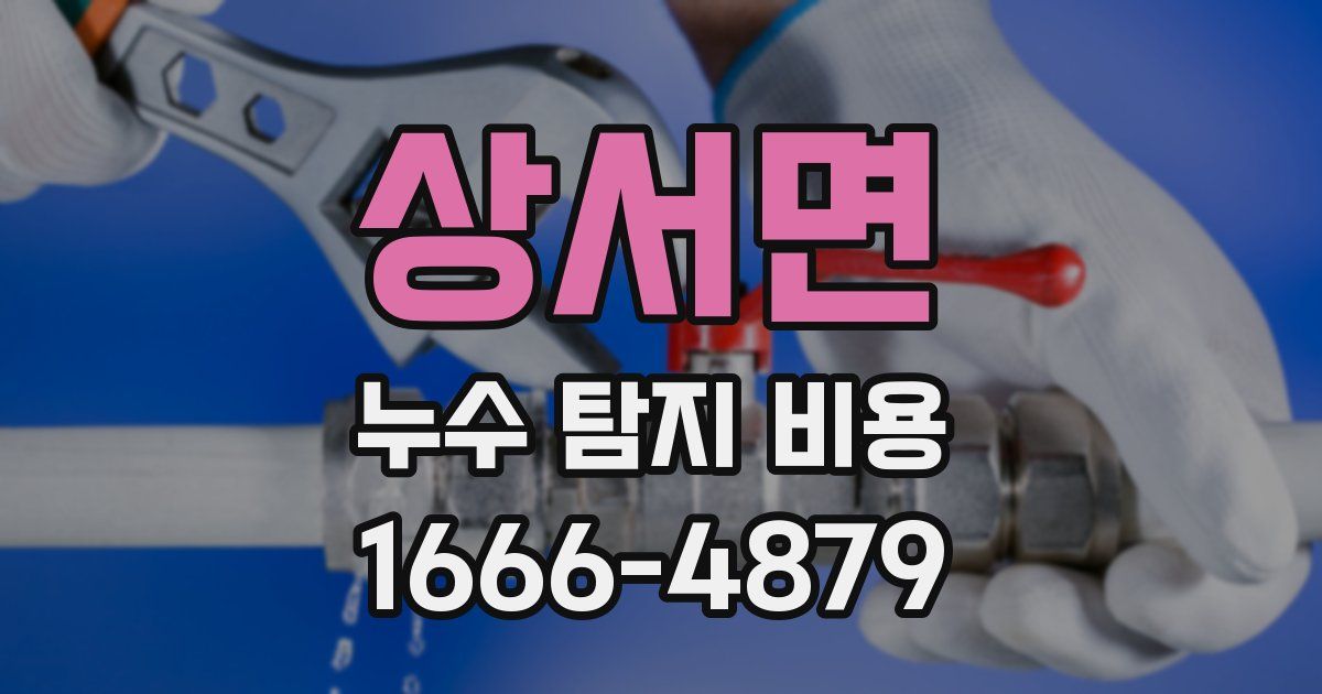 상서면 누수 탐지 비용
