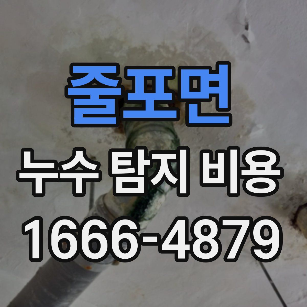 줄포면 누수 탐지 비용