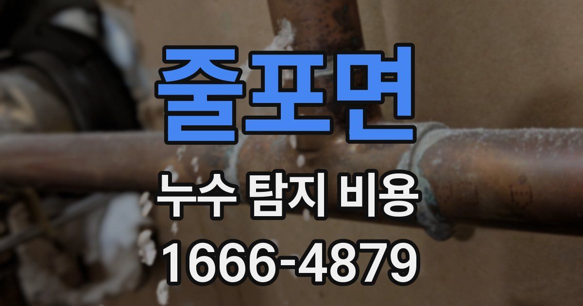 줄포면 누수 탐지 비용