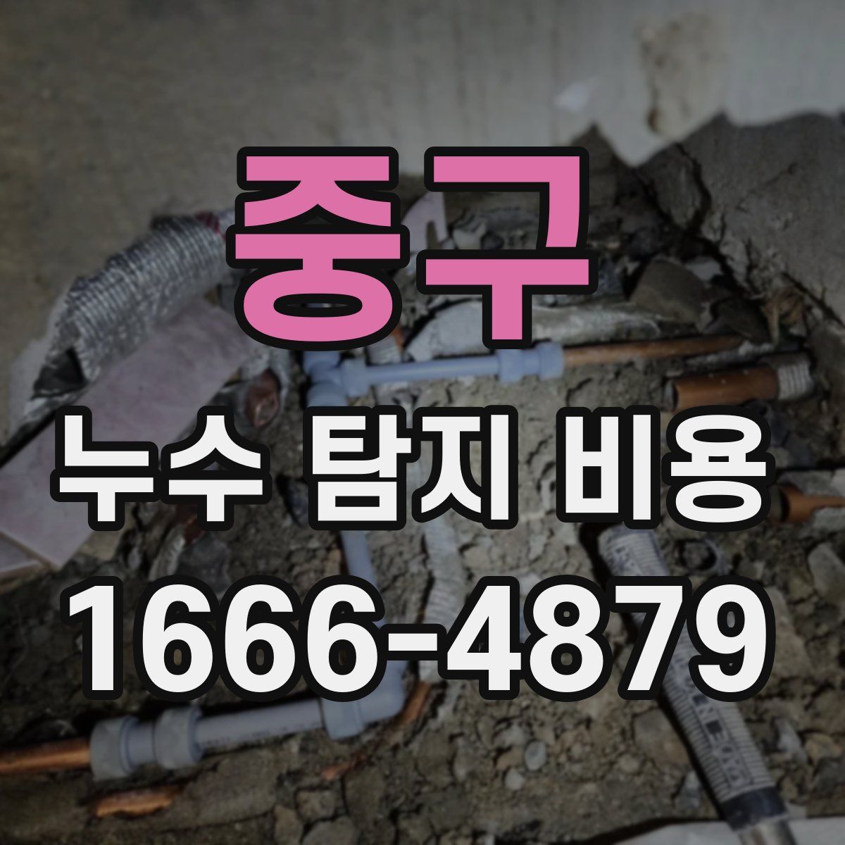 중구 누수 탐지 비용