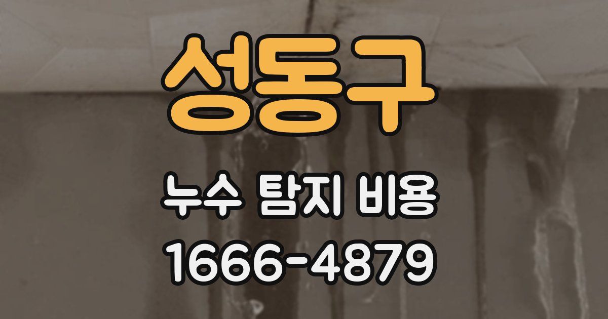 성동구 누수 탐지 비용