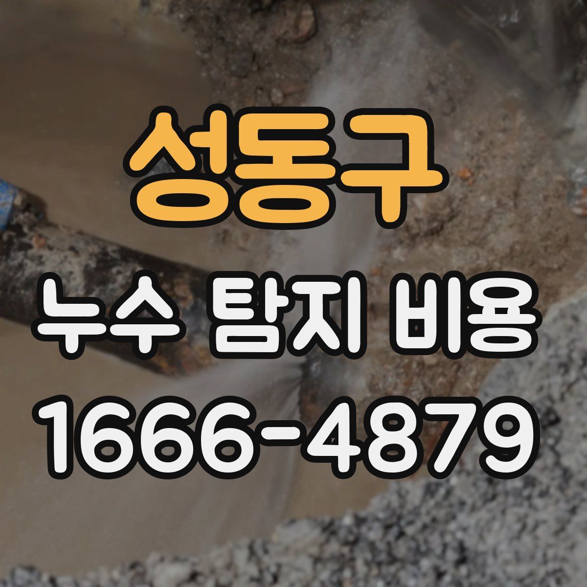 성동구 누수 탐지 비용
