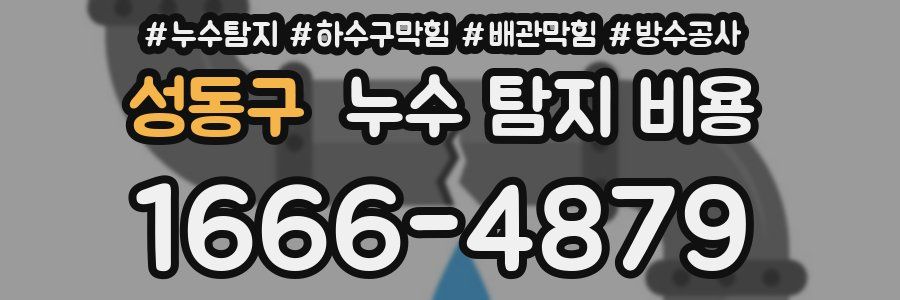 성동구 누수 탐지 비용