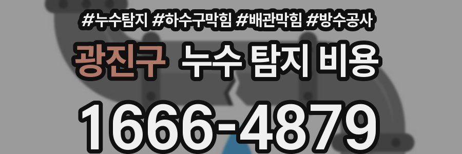 광진구 누수 탐지 비용