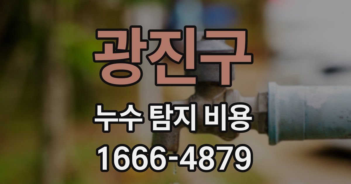 광진구 누수 탐지 비용