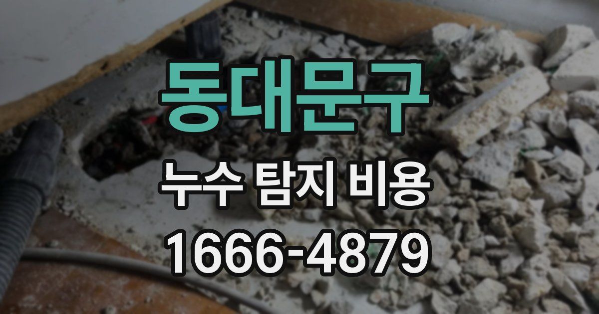 동대문구 누수 탐지 비용
