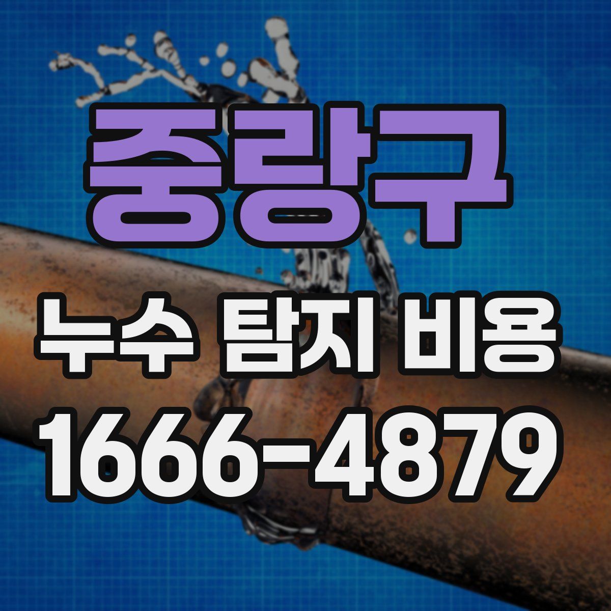 중랑구 누수 탐지 비용