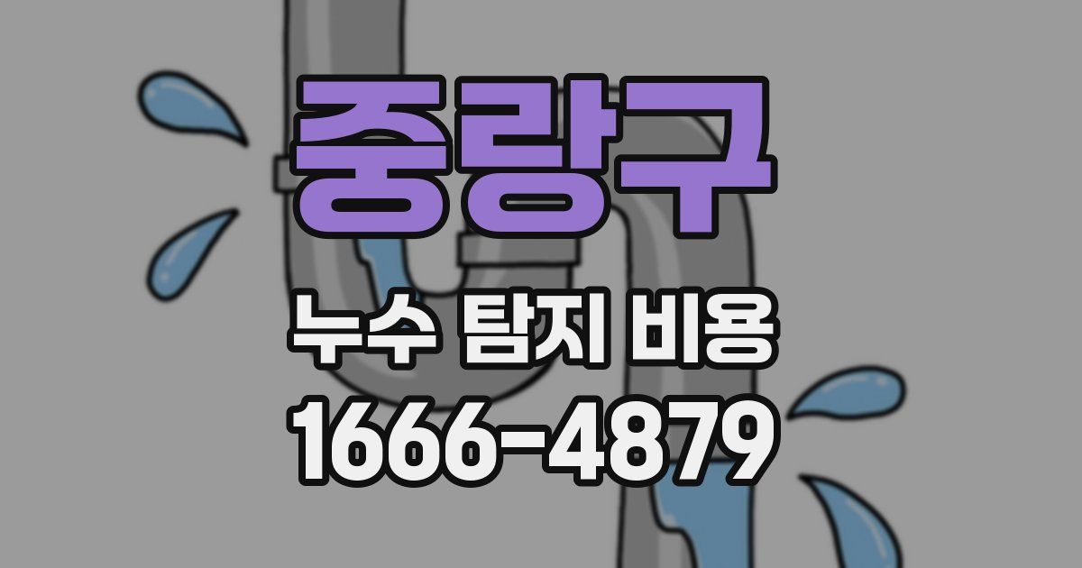중랑구 누수 탐지 비용