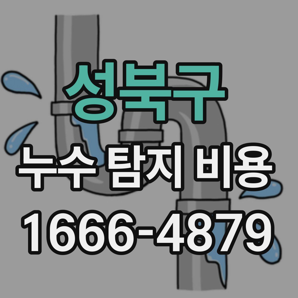 성북구 누수 탐지 비용