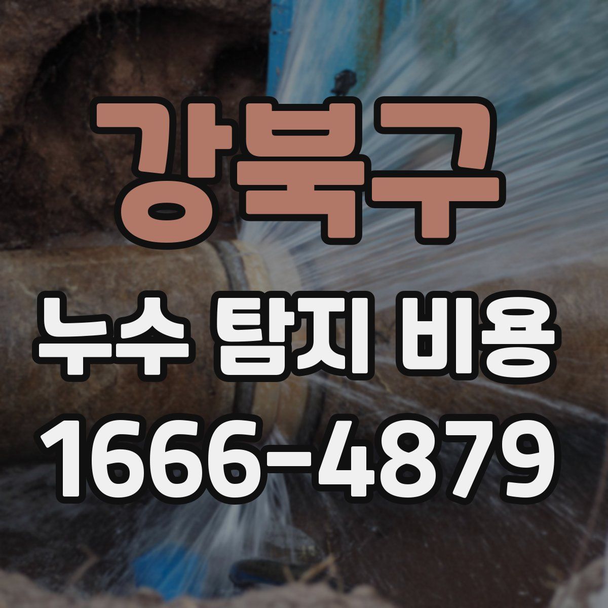강북구 누수 탐지 비용