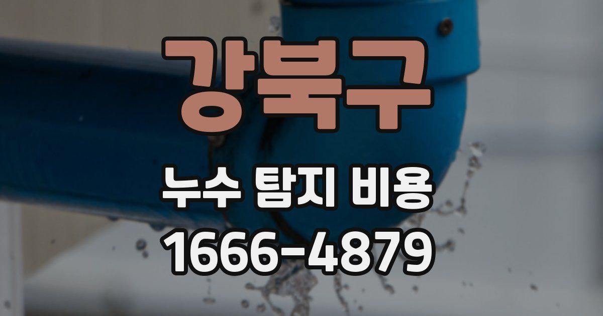 강북구 누수 탐지 비용