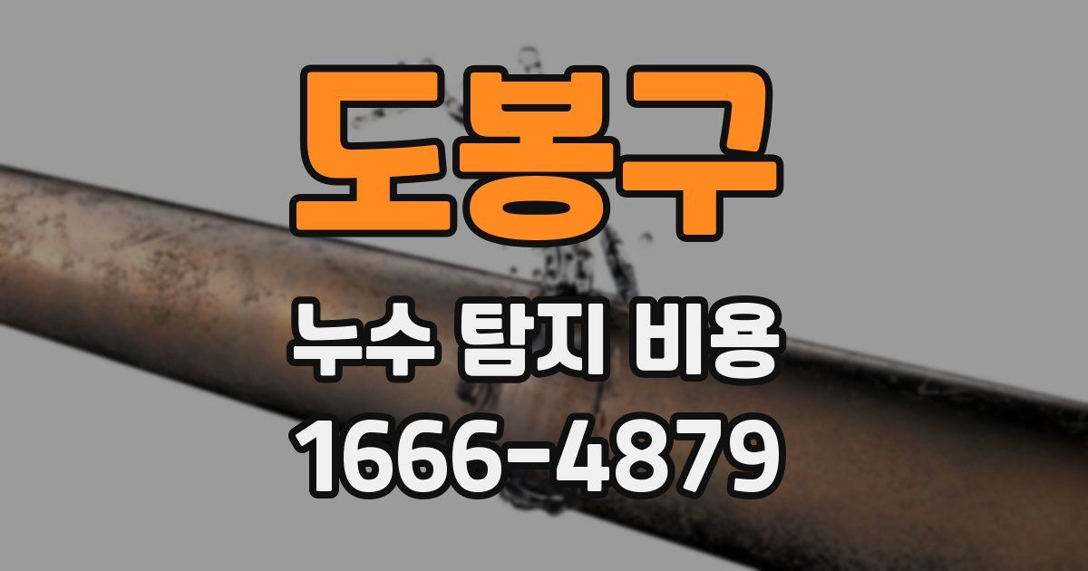 도봉구 누수 탐지 비용