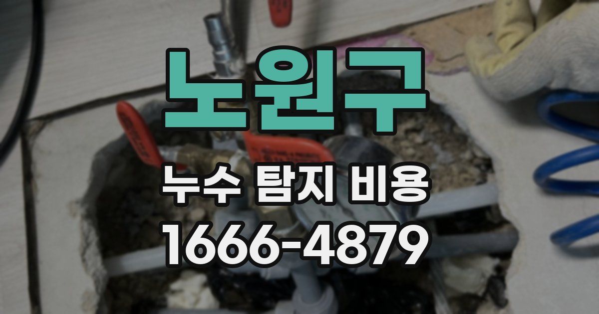 노원구 누수 탐지 비용