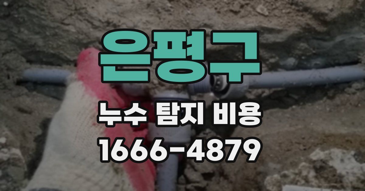 은평구 누수 탐지 비용