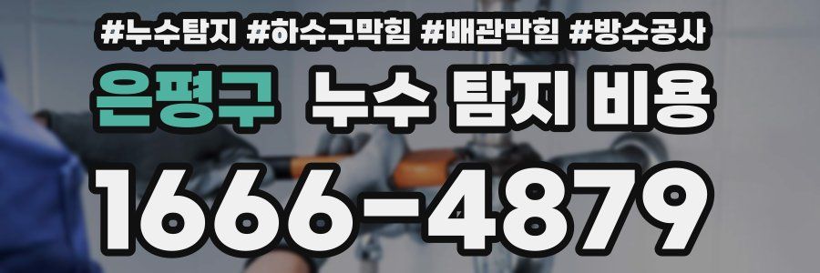 은평구 누수 탐지 비용