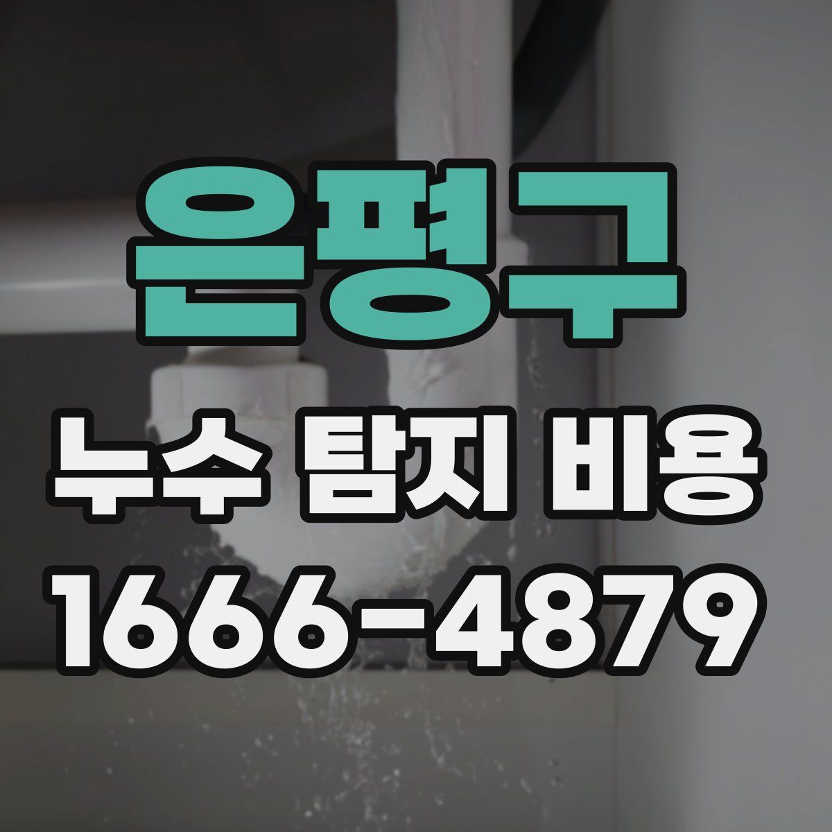 은평구 누수 탐지 비용