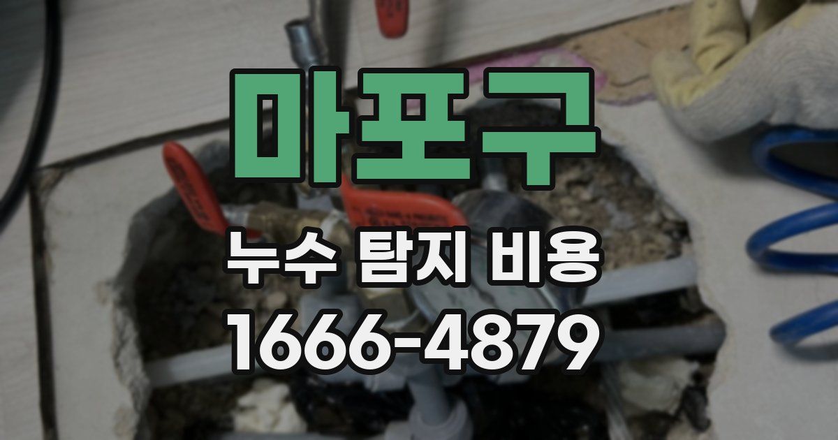 마포구 누수 탐지 비용