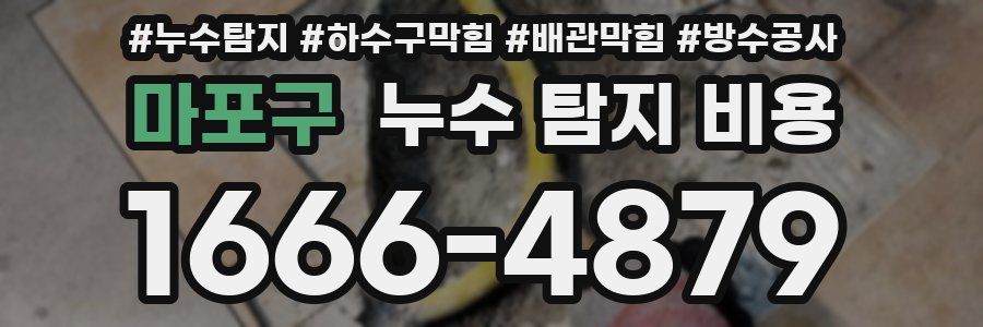 마포구 누수 탐지 비용