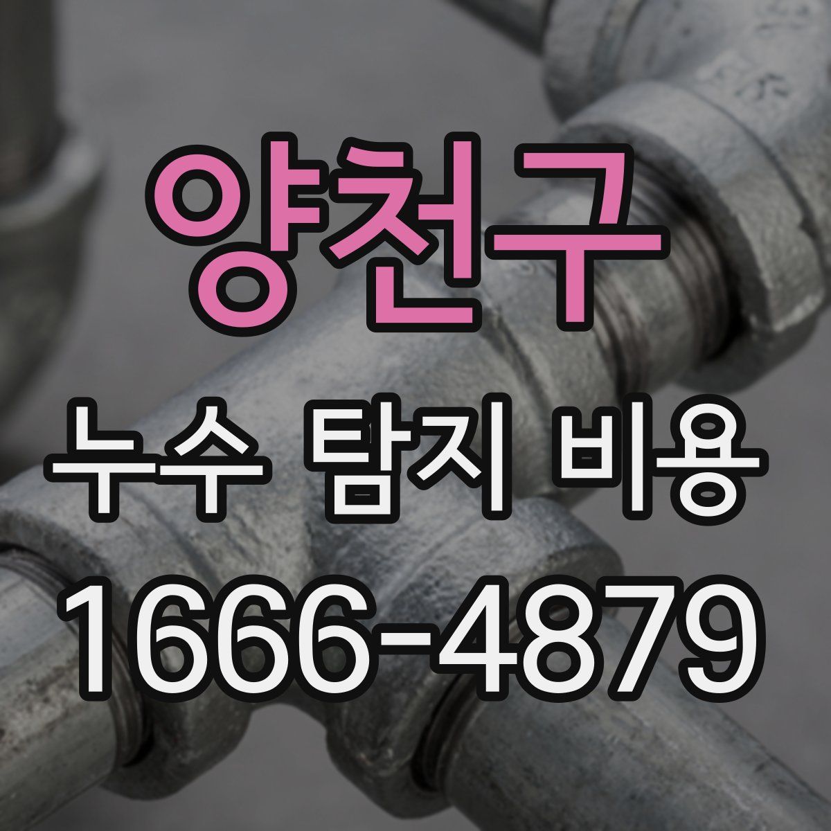 양천구 누수 탐지 비용