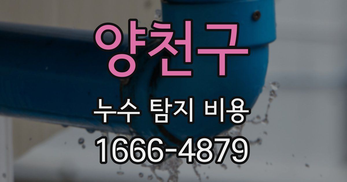 양천구 누수 탐지 비용