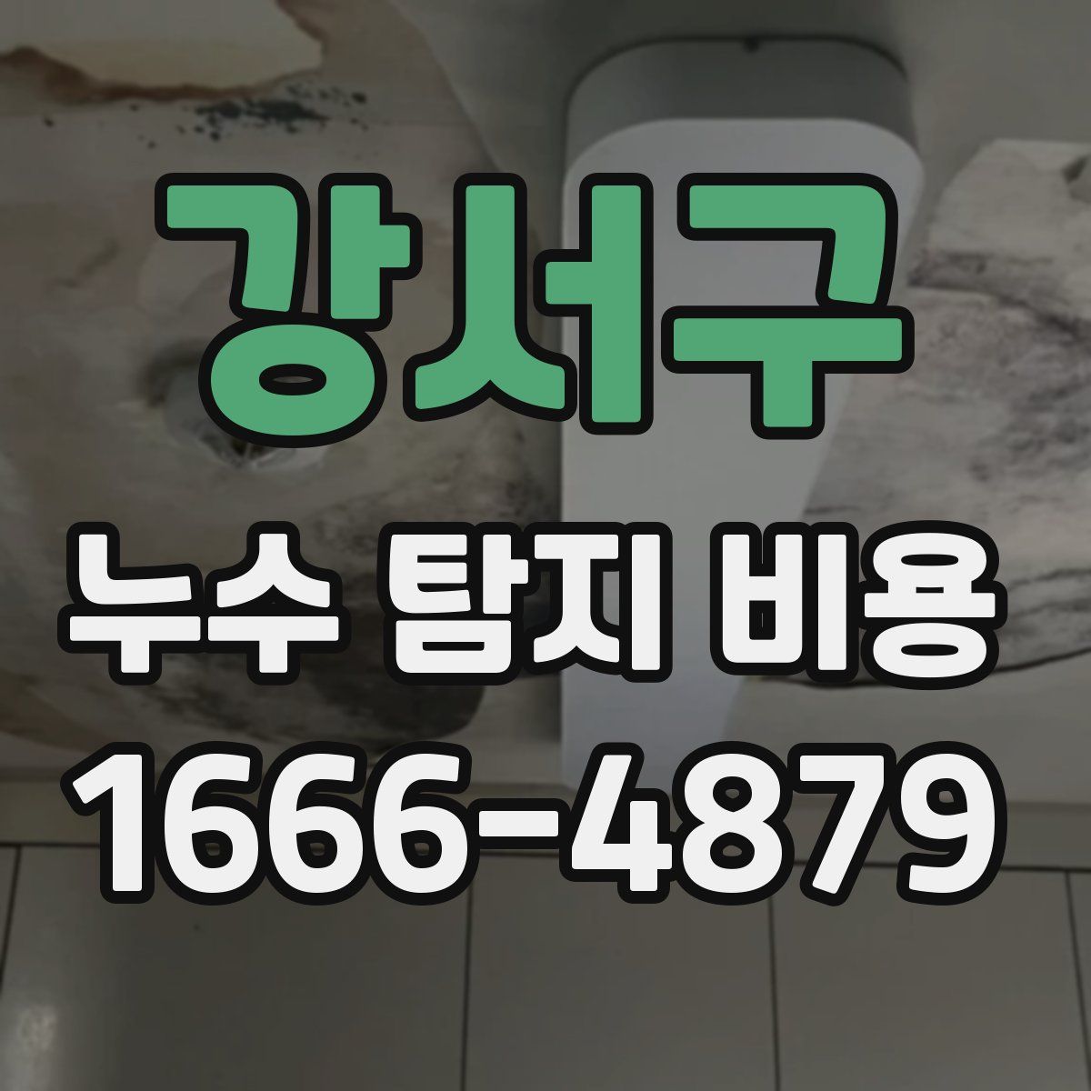 강서구 누수 탐지 비용