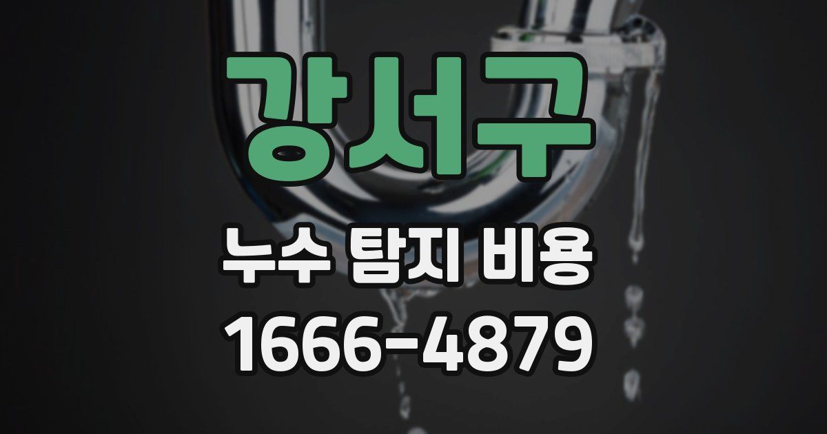강서구 누수 탐지 비용