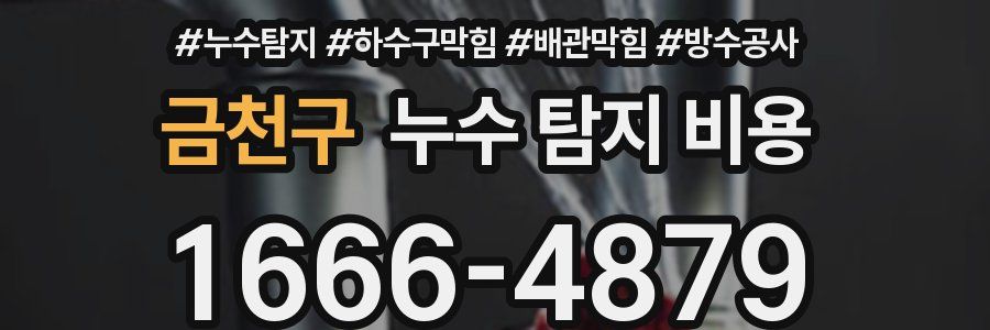 금천구 누수 탐지 비용