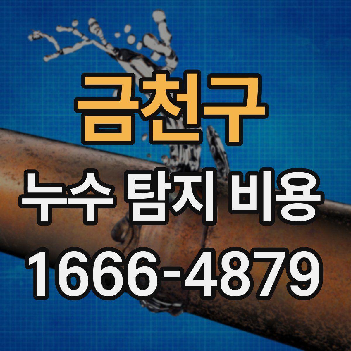 금천구 누수 탐지 비용