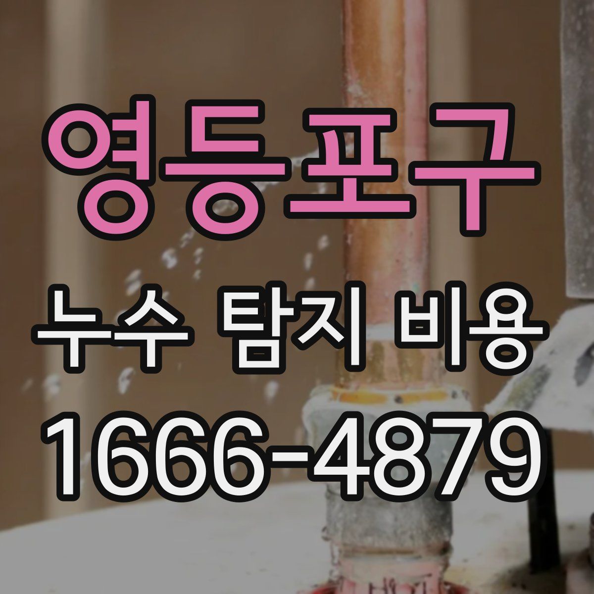 영등포구 누수 탐지 비용