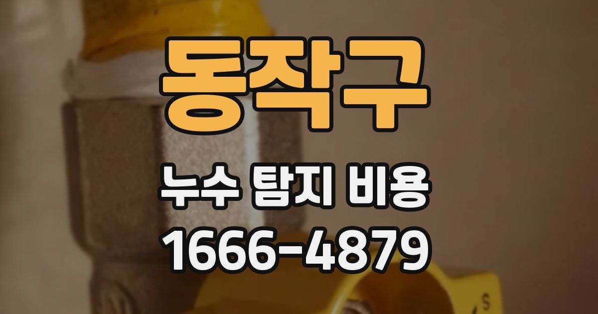 동작구 누수 탐지 비용